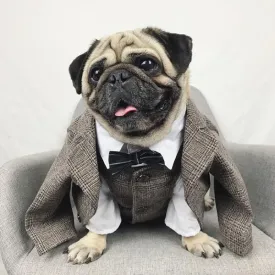 Churchill Tweed Dog Suit Jacket & Vest Separates