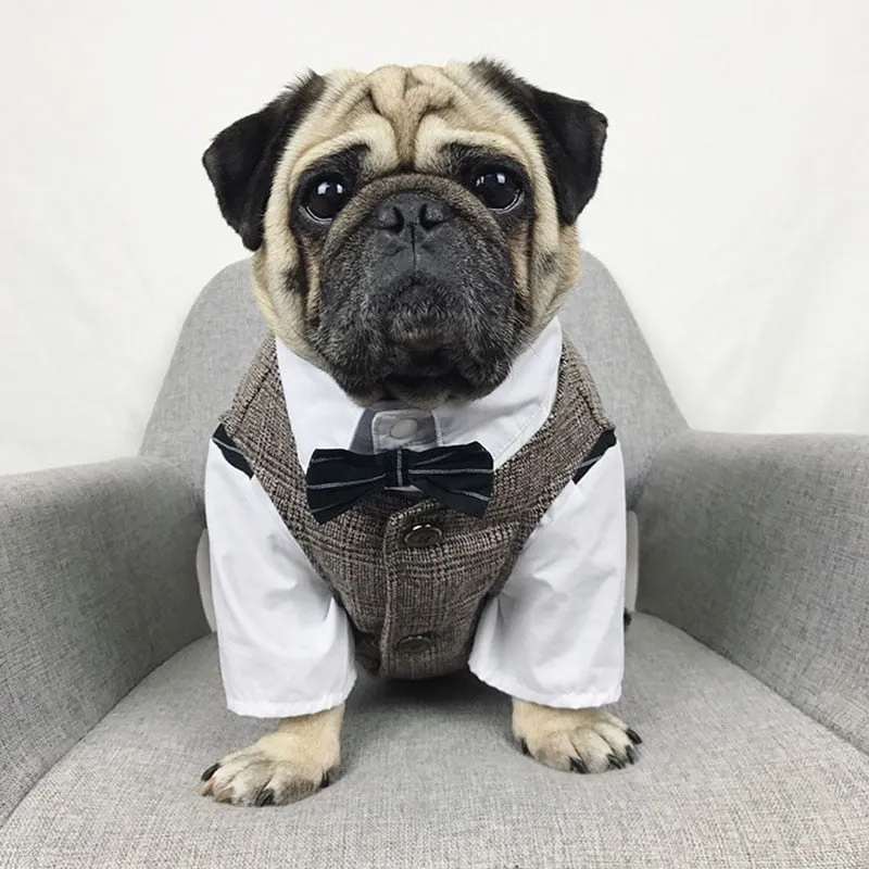 Churchill Tweed Dog Suit Jacket & Vest Separates