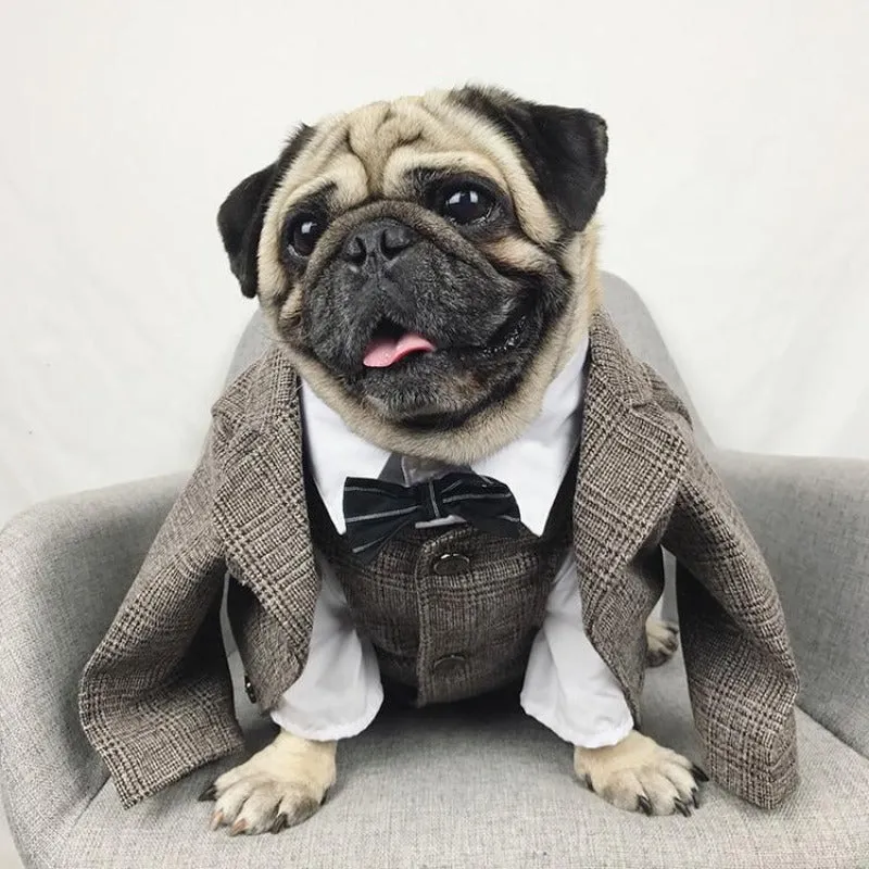 Churchill Tweed Dog Suit Jacket & Vest Separates