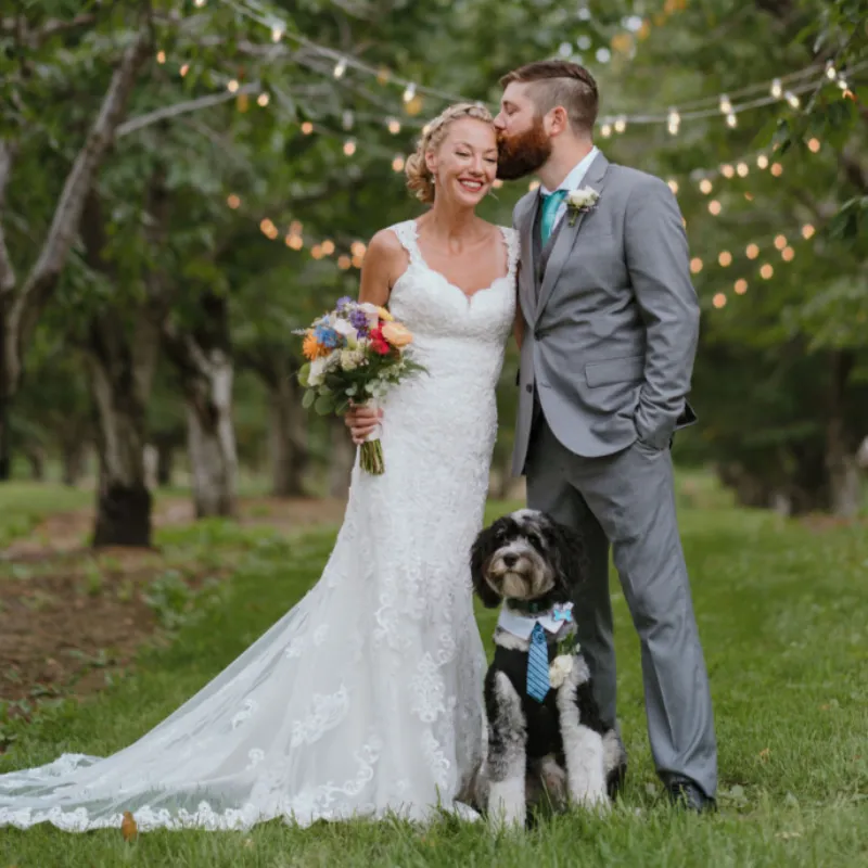 Churchill Tweed Dog Suit Jacket & Vest Separates