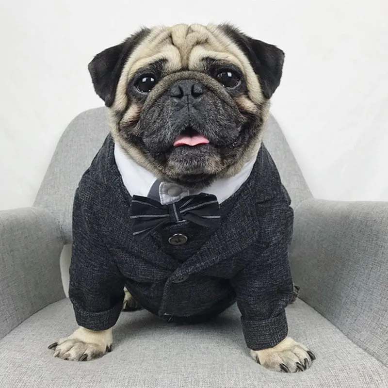 Churchill Tweed Dog Suit Jacket & Vest Separates